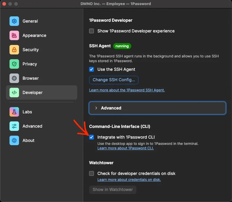 the 1Password desktop app Developer Settings tab